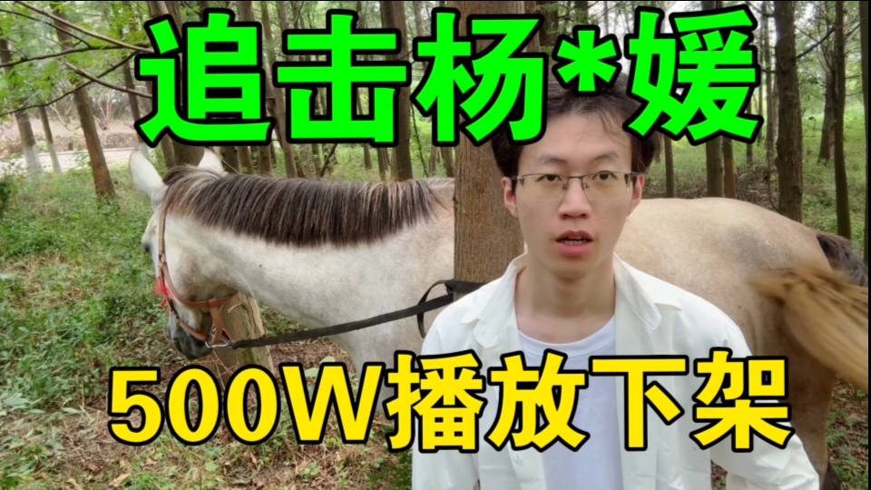 【补档500W播放】全球追击!杨*媛!918活动找同名小学生?胆子肥嘟嘟!